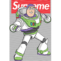 Brand Catalog-ZX 989